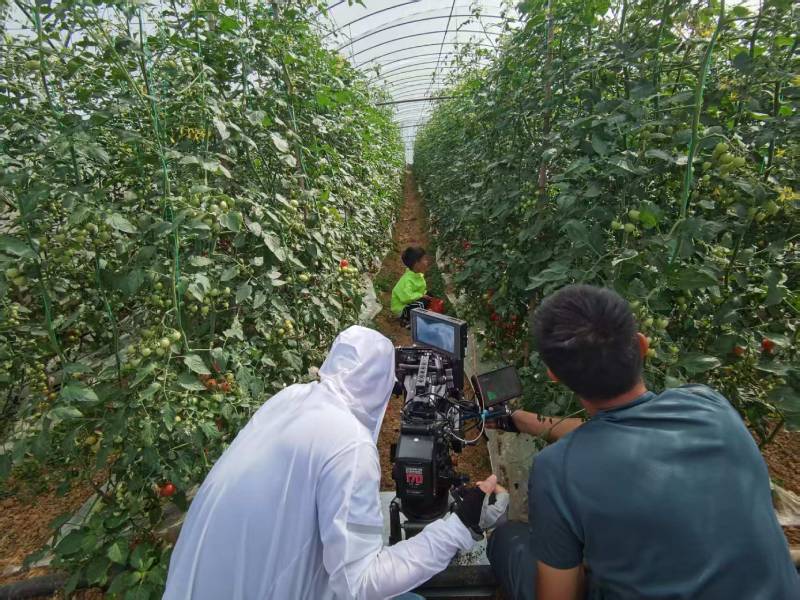 梁园区产品宣传视频拍摄公司进阶指南，助力品牌抢占传播高地